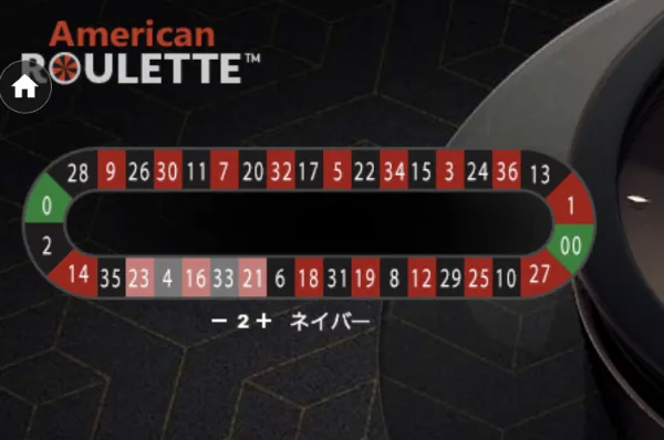 アメリカンルーレットのレーストラック