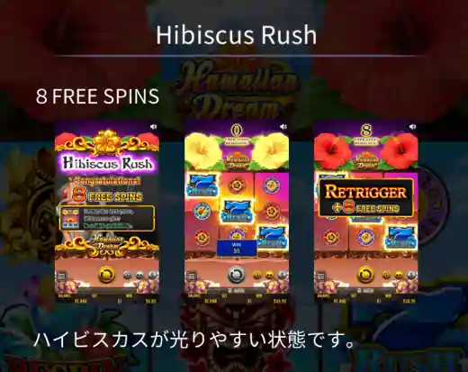 ハワイアンドリームのハイビスカスラッシュ