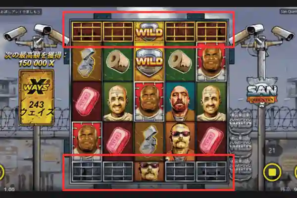 サンクエンティンのエンハンサーセル機能